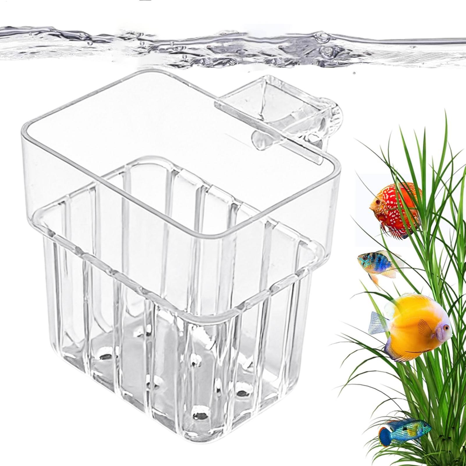 Plant Aquarium Pot - وعاء شفاف قابل للتعليق لزراعة النباتات