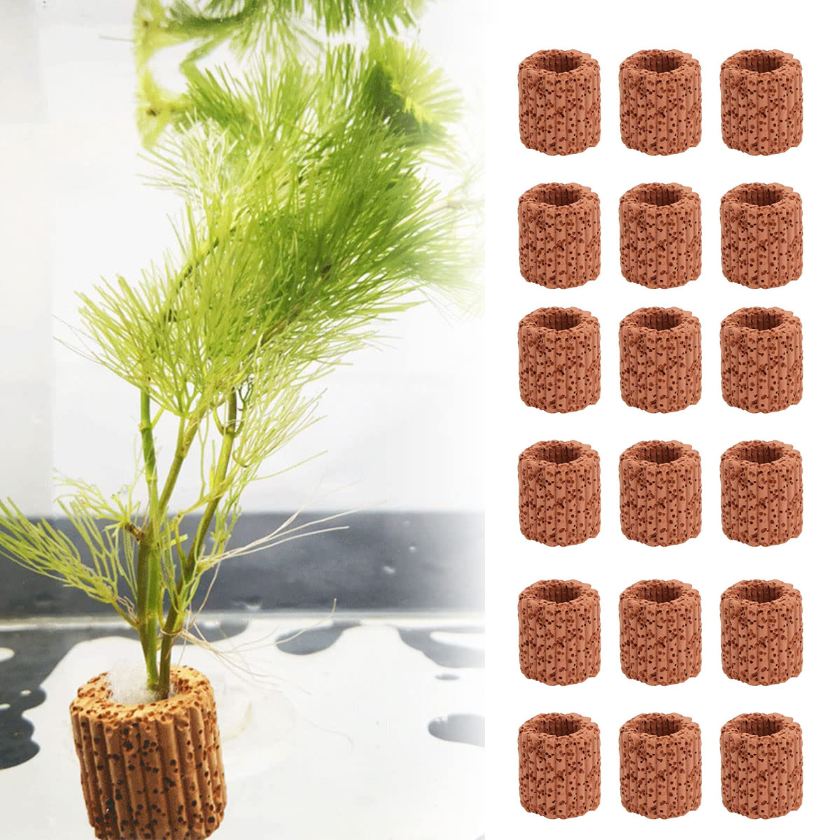 Aquarium Plants Live - قاعدة حلقات ثابتة لمحطة المياه المائية