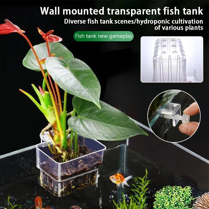 Aquarium Plant Holder - أكواب زرع معلقة للأحواض المائية، حامل