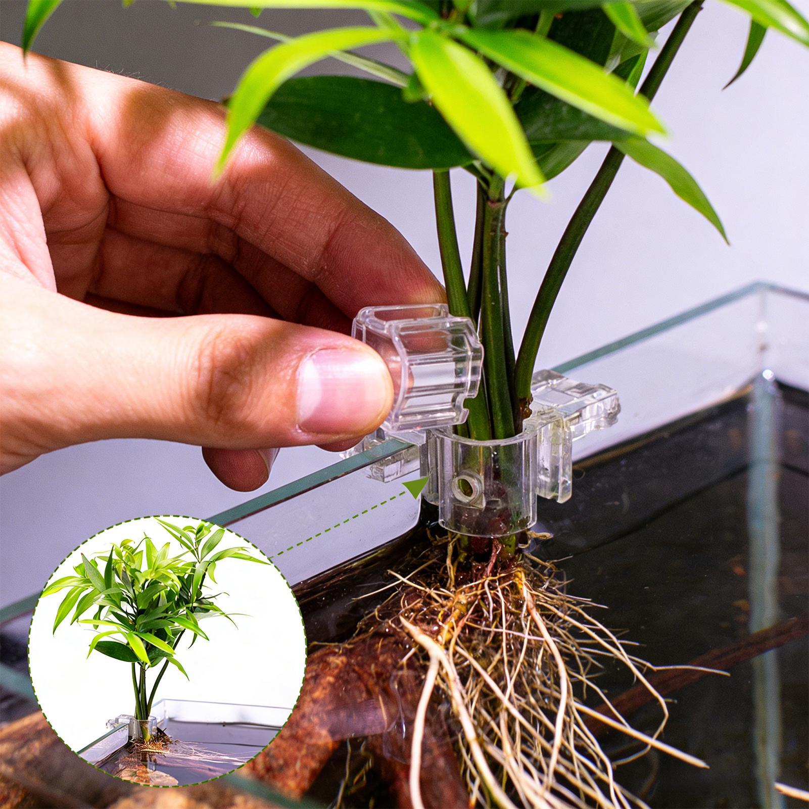 Aquarium Plant Holder - 6 قطع حاملات نباتات للأحواض المائية،