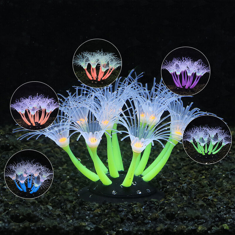 ديكور حوض السمك الاصطناعي المض - مراجعة Aquarium Plants Live وسعره