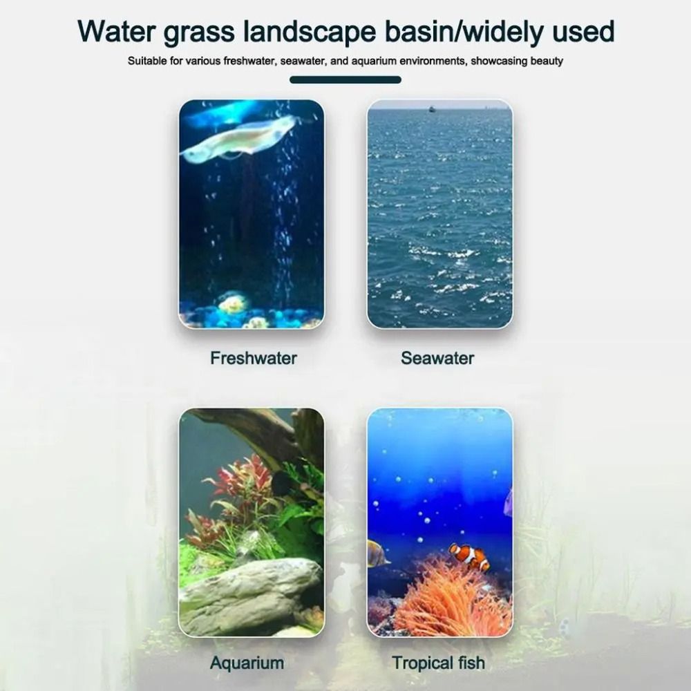 10 قطع من أواني الزراعة المائي - مراجعة Aquarium Plant Holder وسعره