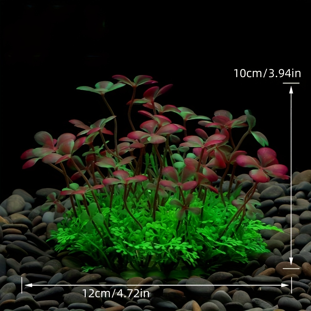 زينة حوض السمك، نباتات بلاستيك - مراجعة Aquarium Plants Live وسعره