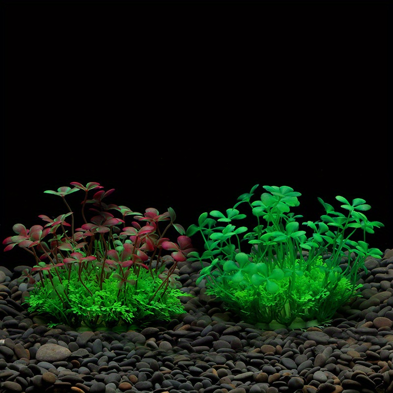 زينة حوض السمك، نباتات بلاستيك - مراجعة Aquarium Plants Live وسعره