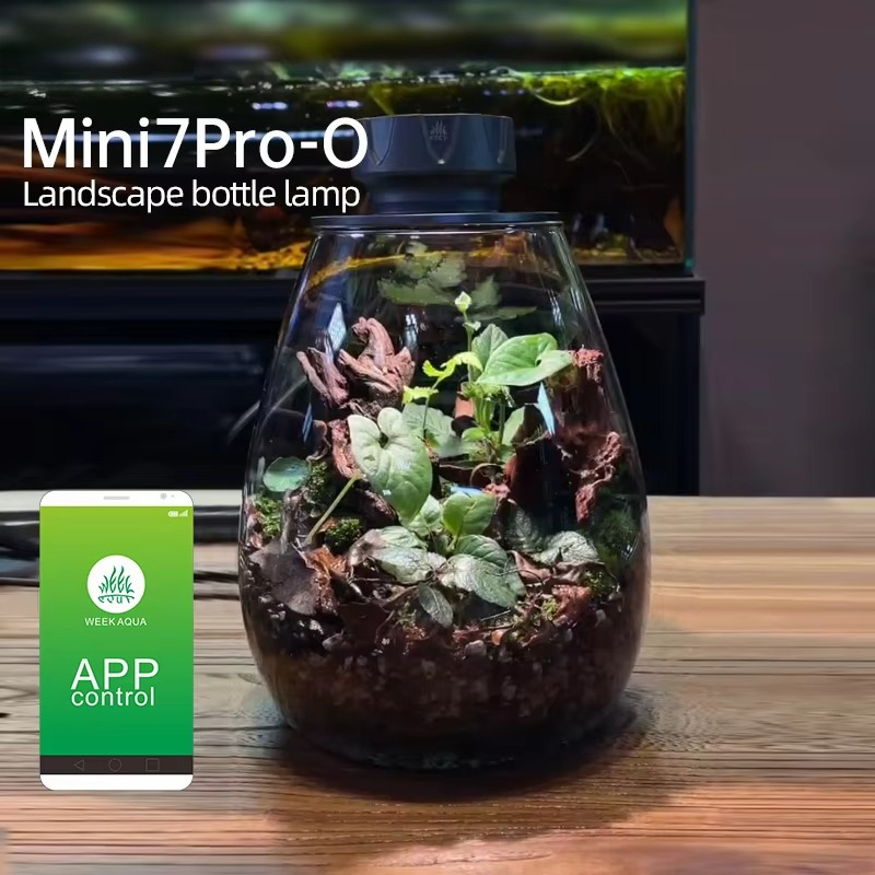 COB نبات Microlandscape ملء ضو - مراجعة Planted Tank وسعره