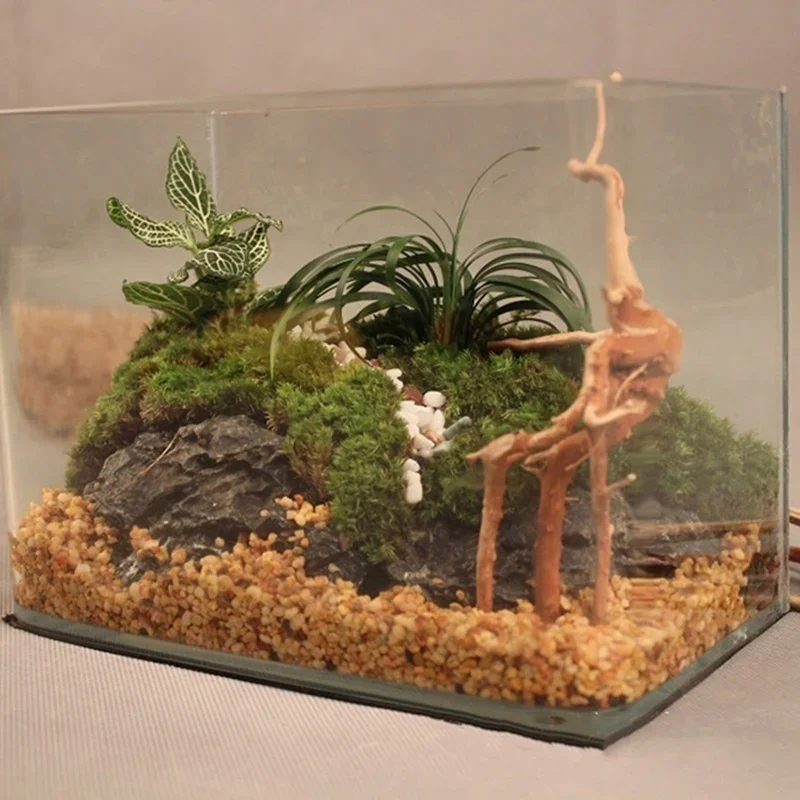 شجرة طبيعية جذع Driftwood لحوض - مراجعة Aquarium Driftwood وسعره