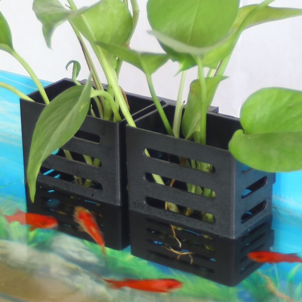حامل نبات خزان الأسماك مع خطاف - مراجعة Aquarium Plant Holder وسعره