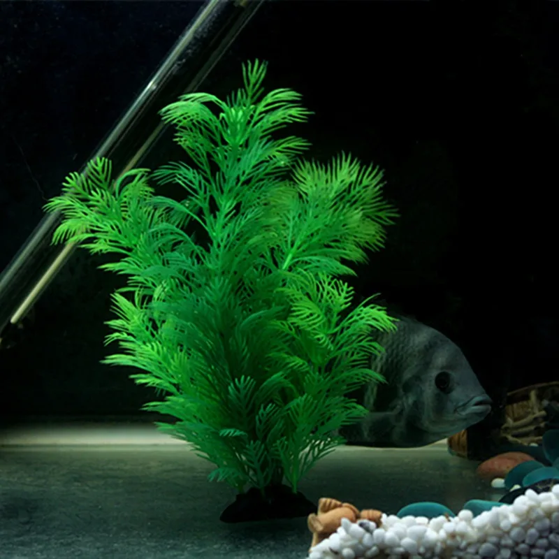 نباتات ديكور حوض السمك الاصطنا - مراجعة Aquarium Plant Substrate وسعره