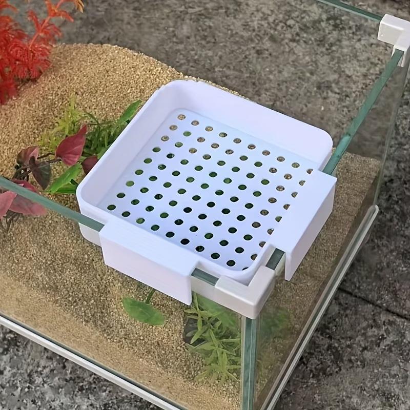 موزع تدفق مياه جديد لحوض السمك - مراجعة Aquarium Plant Holder وسعره