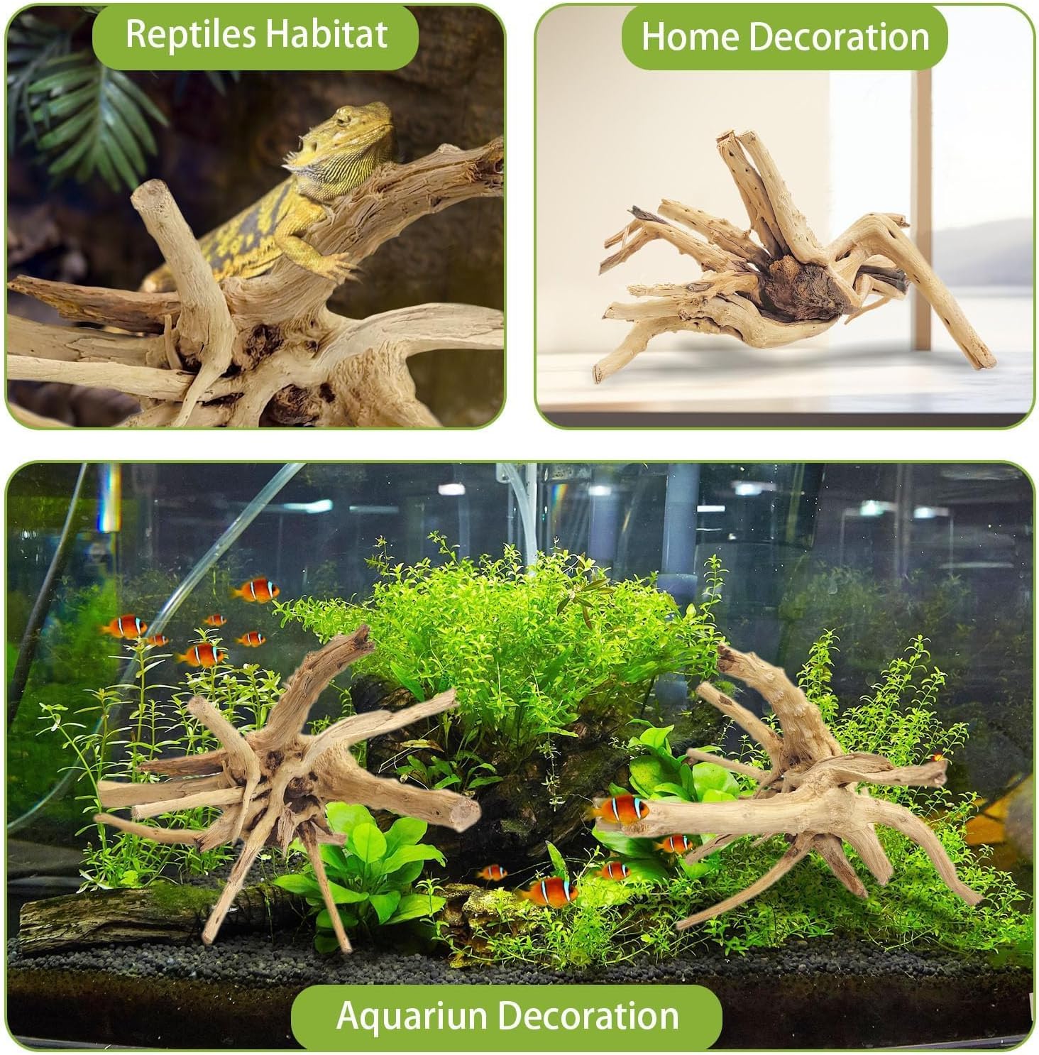 قطعة واحدة 20-25 سم من الخشب ا - مراجعة Aquarium Driftwood وسعره