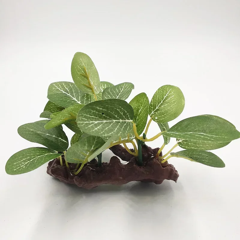 جديد البلاستيك حوض السمك نبات  - مراجعة Aquarium Plants Live وسعره