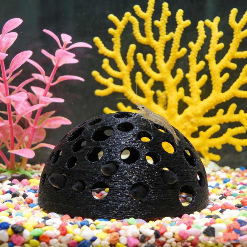 غرفة مخفية لحوض السمك للأسماك  - مراجعة Aquarium Plant Holder وسعره