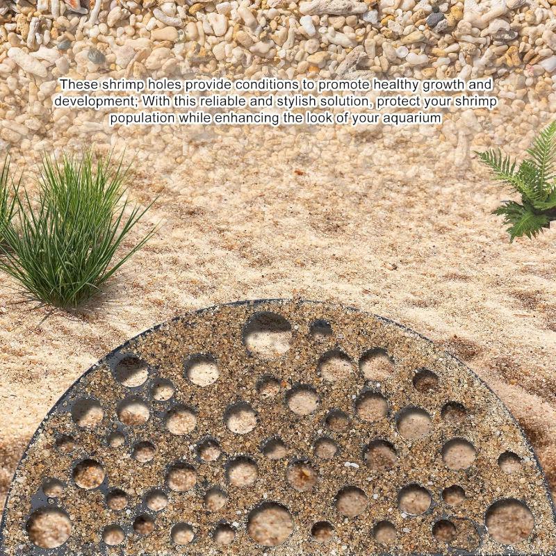 غرفة مخفية لحوض السمك للأسماك  - مراجعة Aquarium Plant Holder وسعره