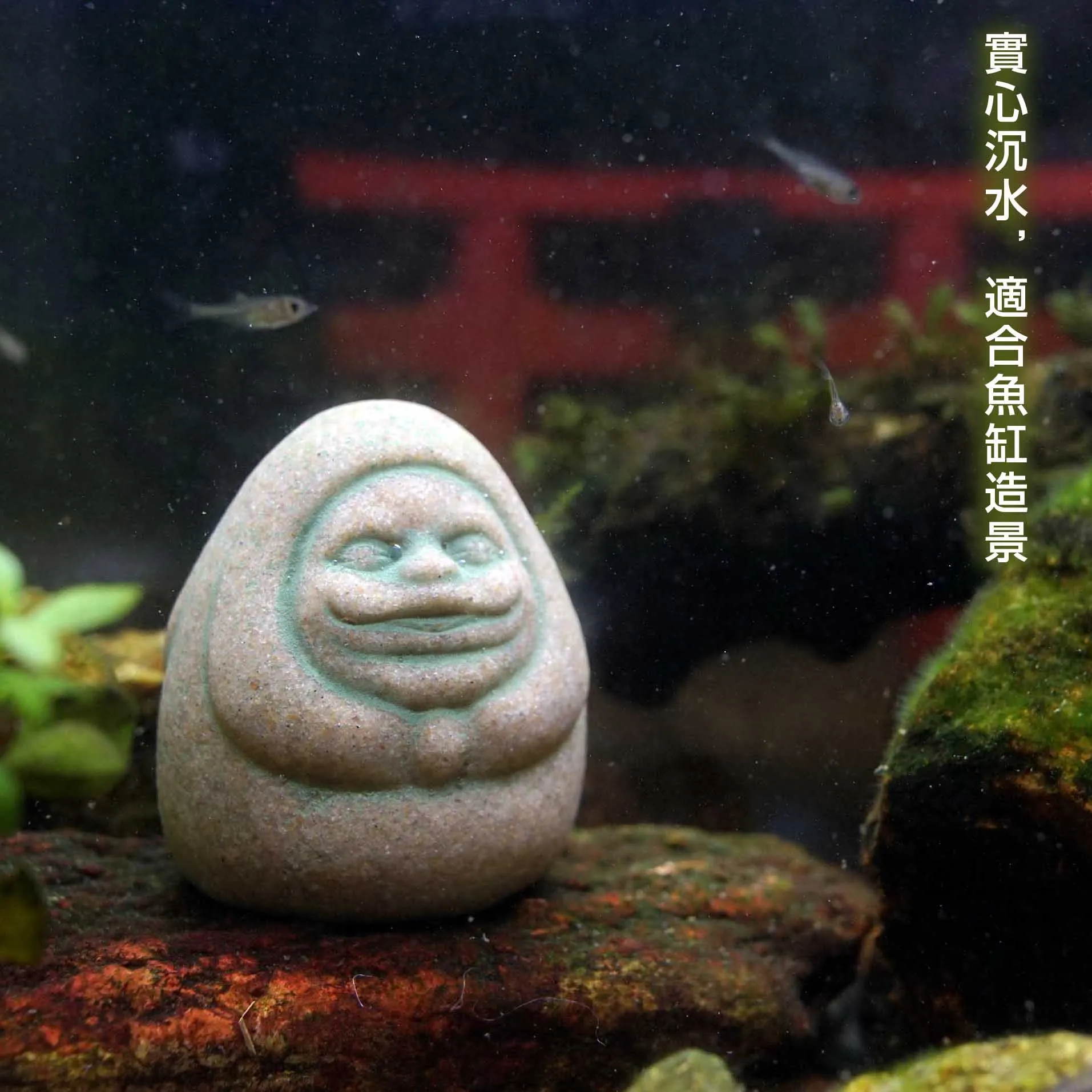 قطع تخطيط مشهد الرسوم المتحركة - مراجعة Aquarium Moss وسعره