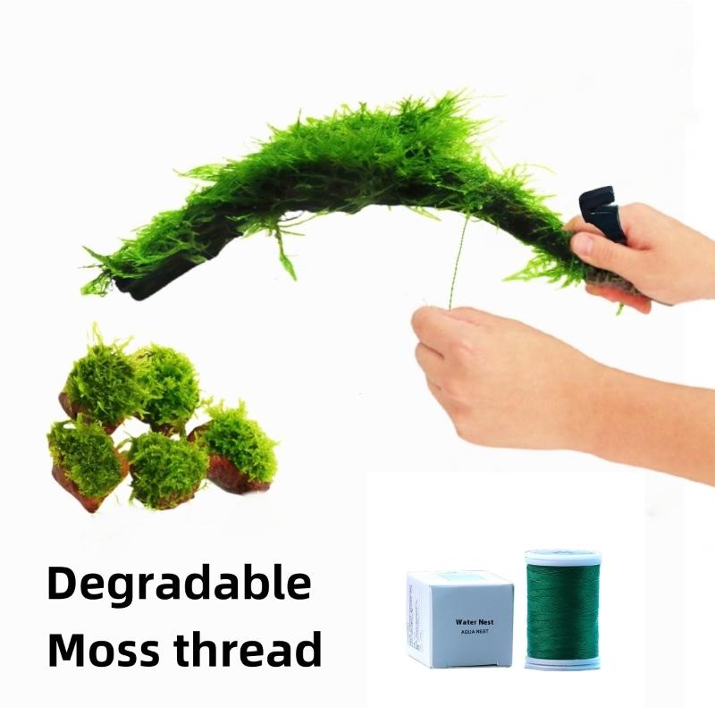 200 متر طبيعي للتحلل الطحلب ال - مراجعة Aquarium Moss وسعره