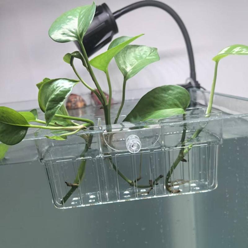 سلة زراعة مائية من الدرجة الغذ - مراجعة Aquarium Plant Holder وسعره