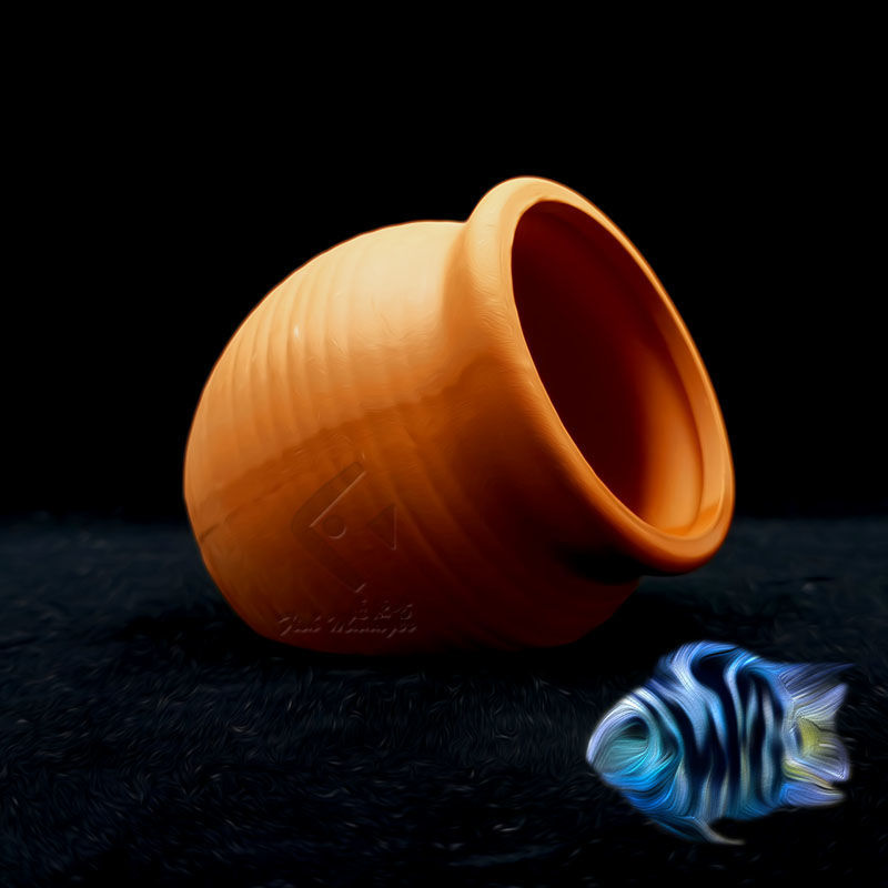 حوض السمك إصّيص سيراميك صغير ح - مراجعة Aquarium Driftwood وسعره