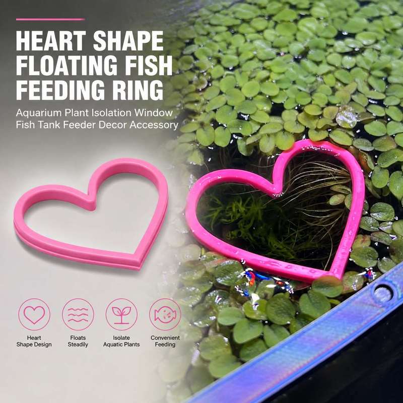 حلقة تغذية الأسماك العائمة على - مراجعة Aquarium Fertilizer وسعره