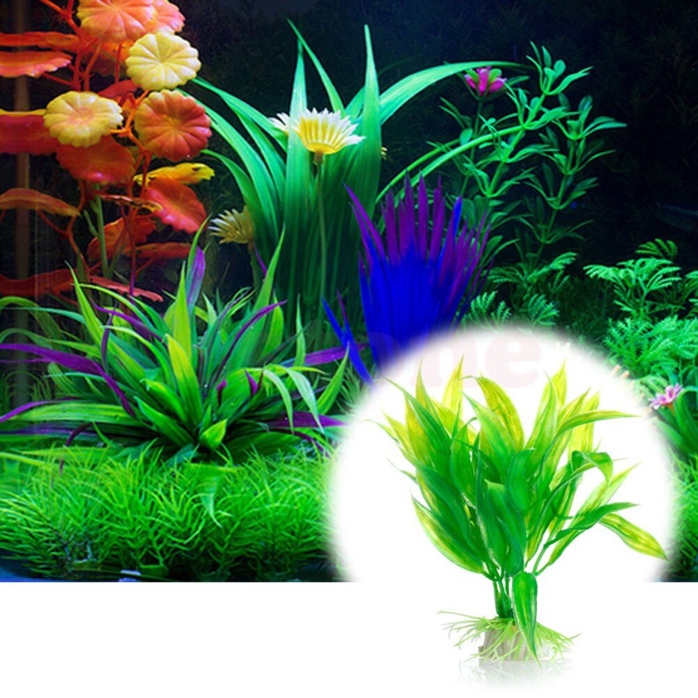 15 سنتيمتر حوض السمك الاصطناعي - مراجعة Aquarium Plants Live وسعره