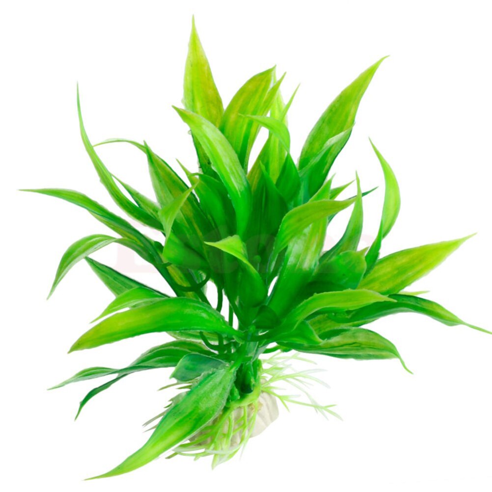 15 سنتيمتر حوض السمك الاصطناعي - مراجعة Aquarium Plants Live وسعره
