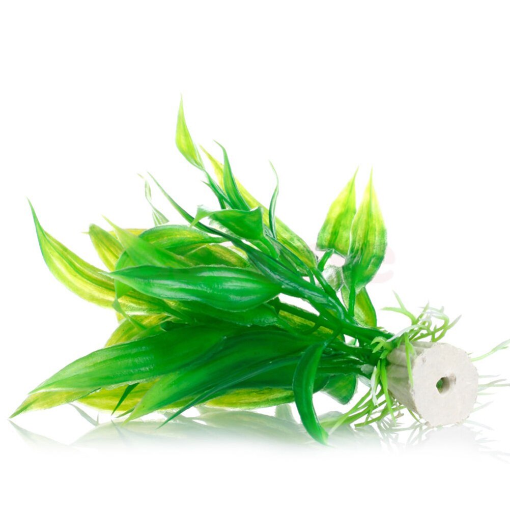 15 سنتيمتر حوض السمك الاصطناعي - مراجعة Aquarium Plants Live وسعره