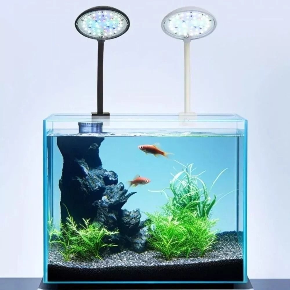 مصباح نباتات حوض السمك القابل  - مراجعة Live Plant Aquarium وسعره