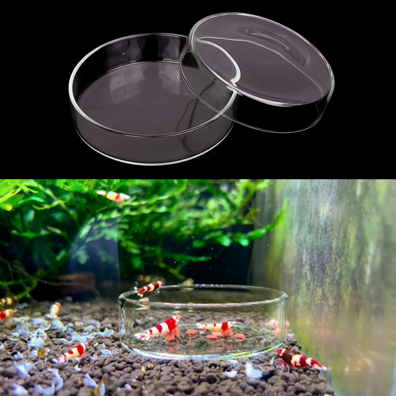 طبق تغذية الروبيان طبق تغذية ز - مراجعة Aquarium Fertilizer وسعره