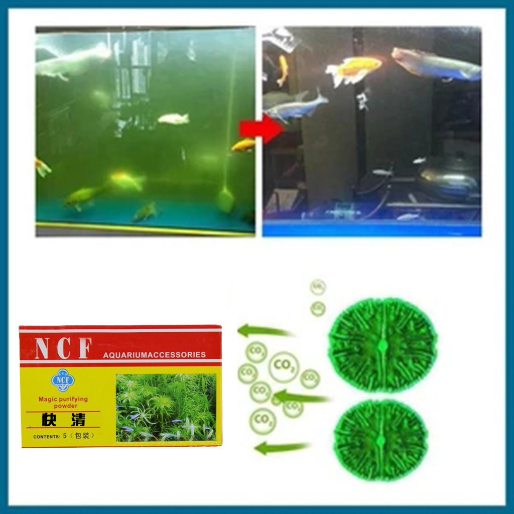 حوض السمك مسحوق تنقية المياه إ - مراجعة Aquarium Moss وسعره