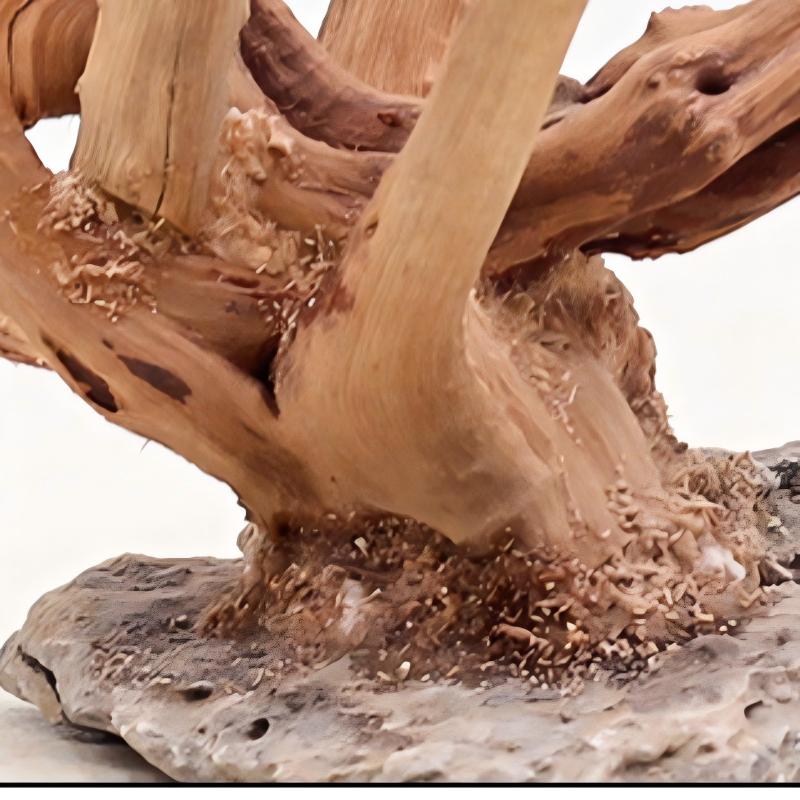 1 قطعة حوض السمك المناظر الطبي - مراجعة Aquarium Driftwood وسعره