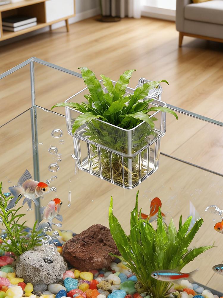 حامل نباتات الأحواض المائية ال - مراجعة Aquarium Plant Holder وسعره