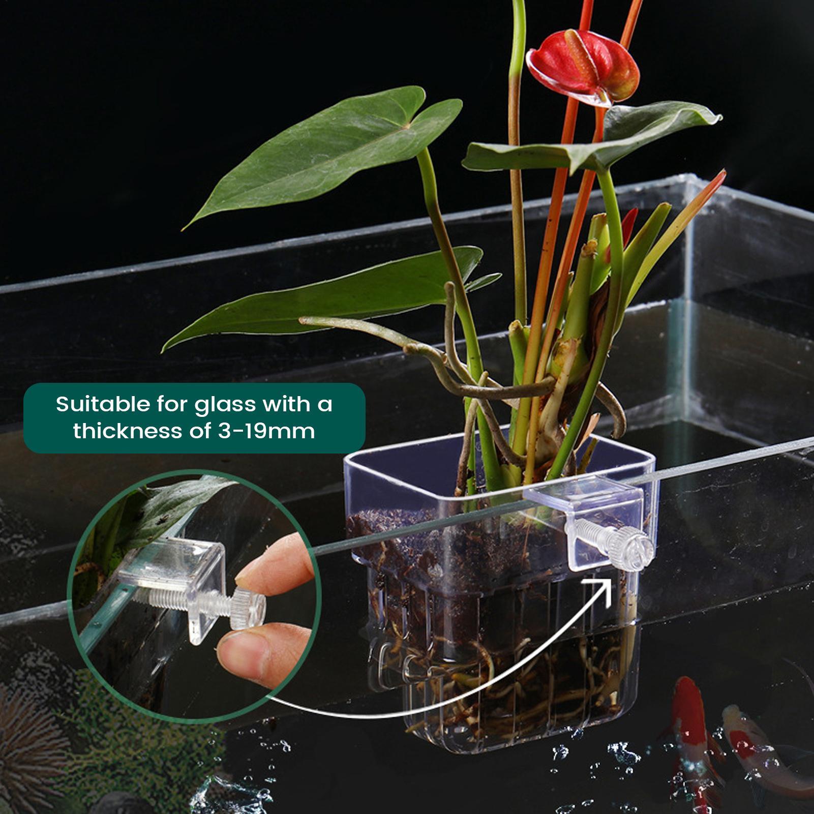 حامل نباتات الأحواض المائية ال - مراجعة Aquarium Plant Holder وسعره