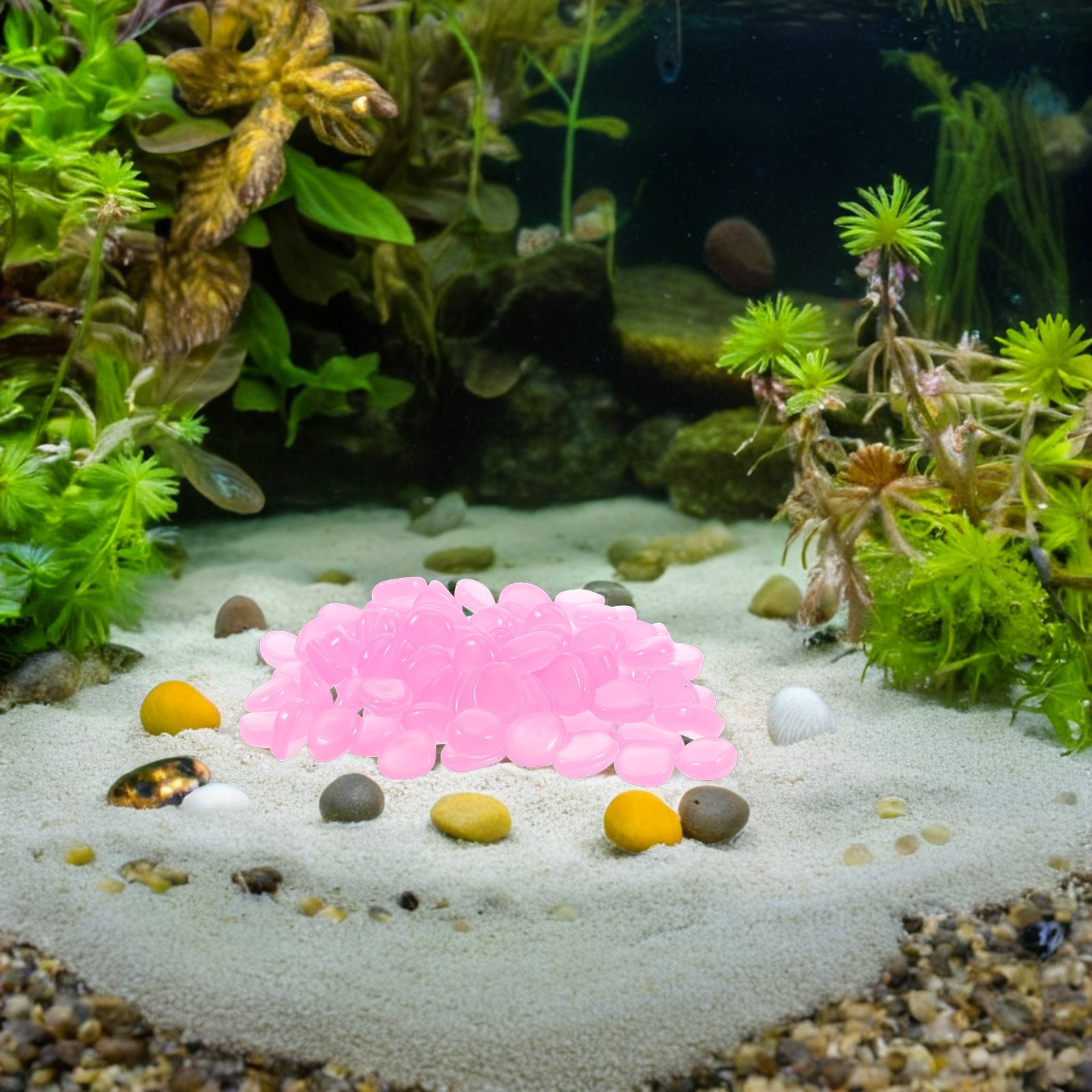 صخور راتنجية مضيئة في الظلام ل - مراجعة Plant Aquarium Pot وسعره