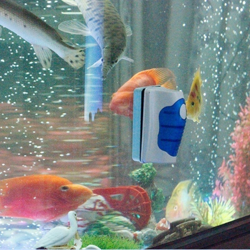 منظف زجاج حوض السمك، فرشاة تنظ - مراجعة Planted Aquarium Cleaning وسعره