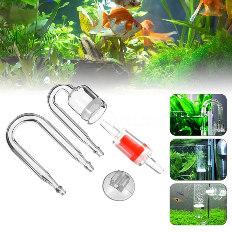 ناشر CO2 لحوض السمك ، خزان زجا - مراجعة Aquarium Moss وسعره